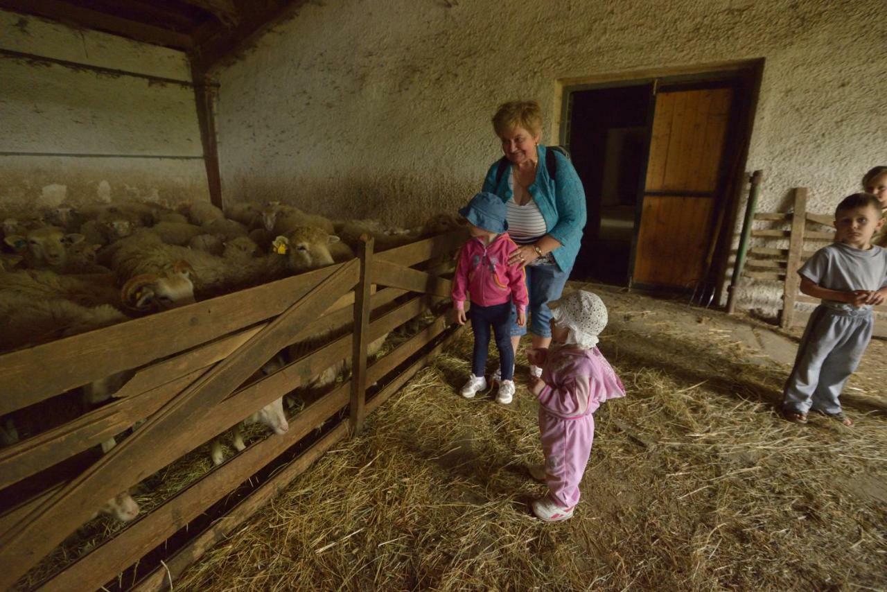 Bio Farma & Penzion Zlaty Hyl Novacany Luaran gambar