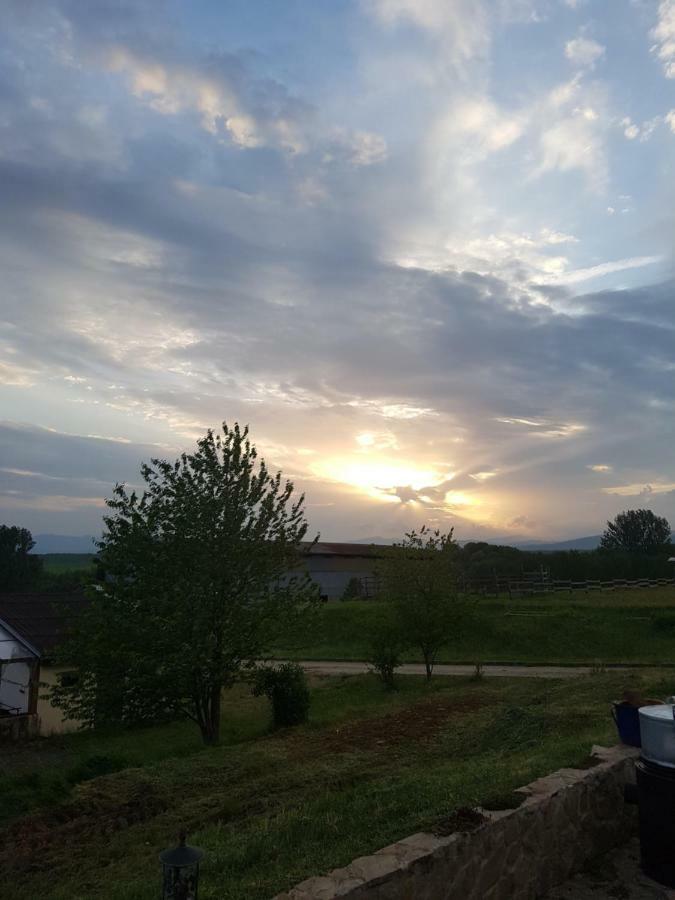 Bio Farma & Penzion Zlaty Hyl Novacany Luaran gambar