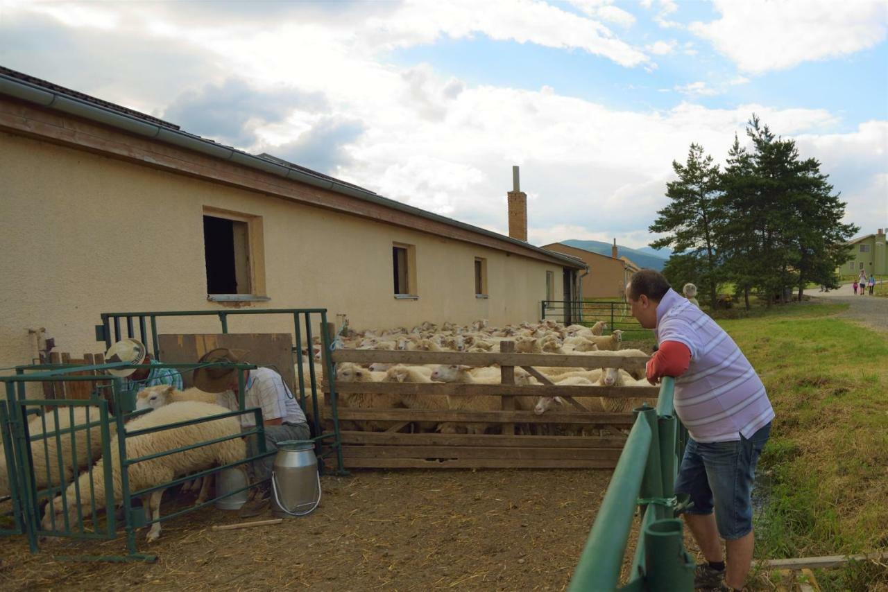Bio Farma & Penzion Zlaty Hyl Novacany Luaran gambar