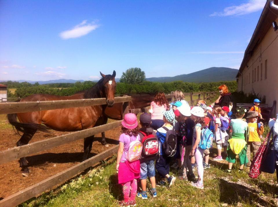 Bio Farma & Penzion Zlaty Hyl Novacany Luaran gambar