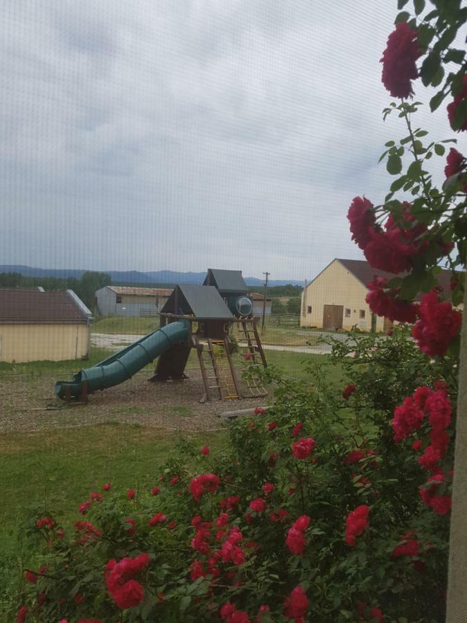Bio Farma & Penzion Zlaty Hyl Novacany Luaran gambar