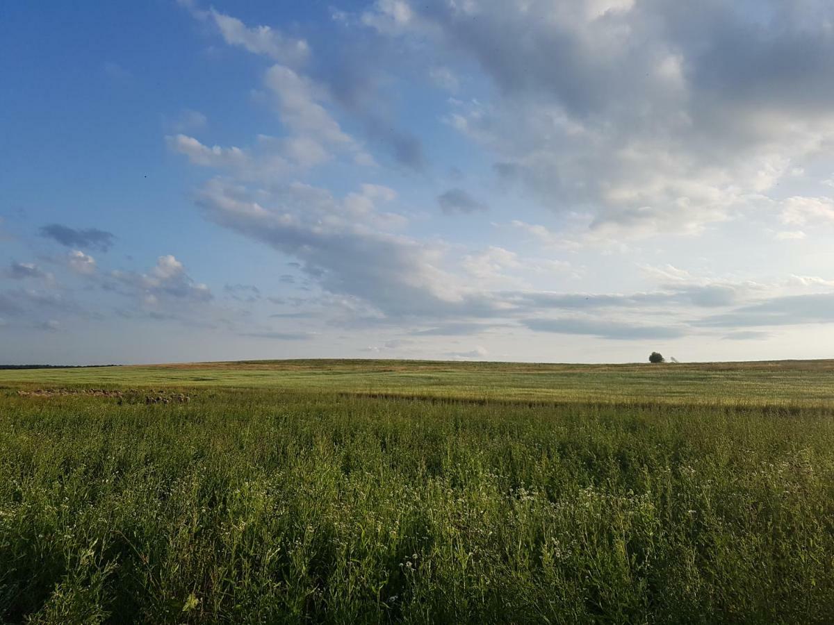 Bio Farma & Penzion Zlaty Hyl Novacany Luaran gambar